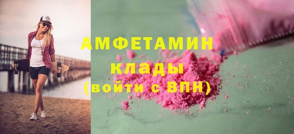 шишки Арсеньев