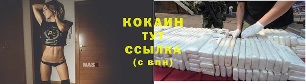 шишки Арсеньев