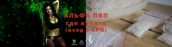 твердый Аркадак