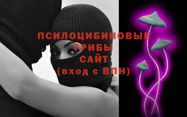 твердый Аркадак