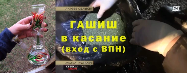 шишки Арсеньев