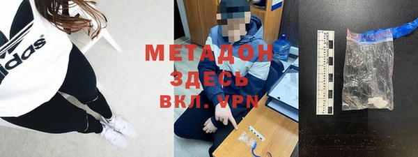 шишки Арсеньев